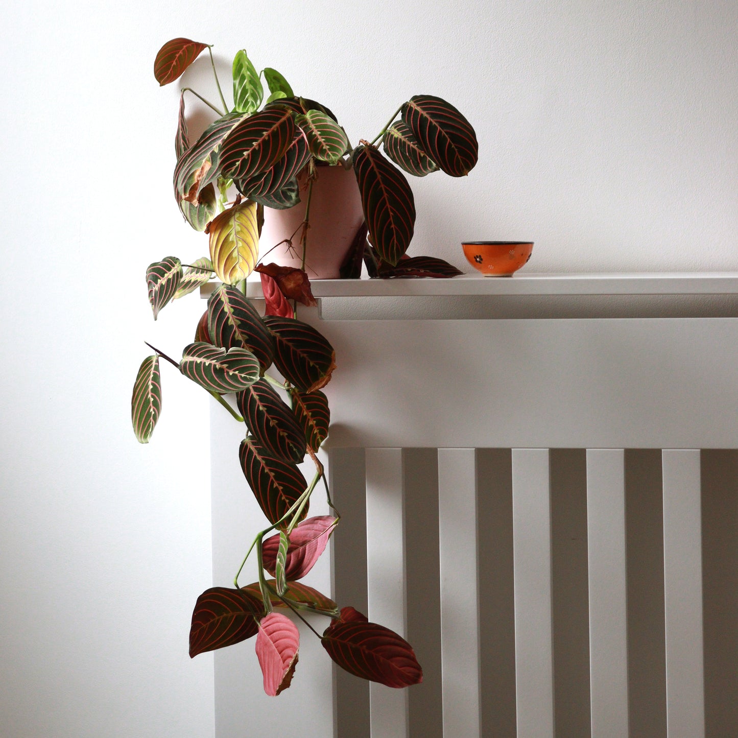 Custom Sized Radiator Cover: Wide Gap Vertical Slats