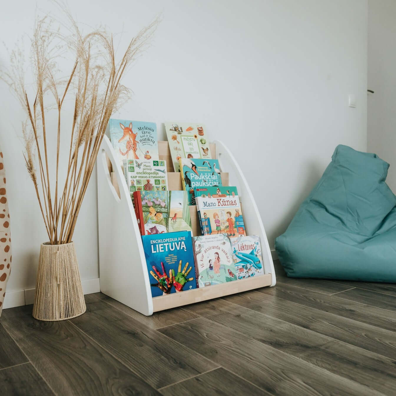 Montessori Bookshelf