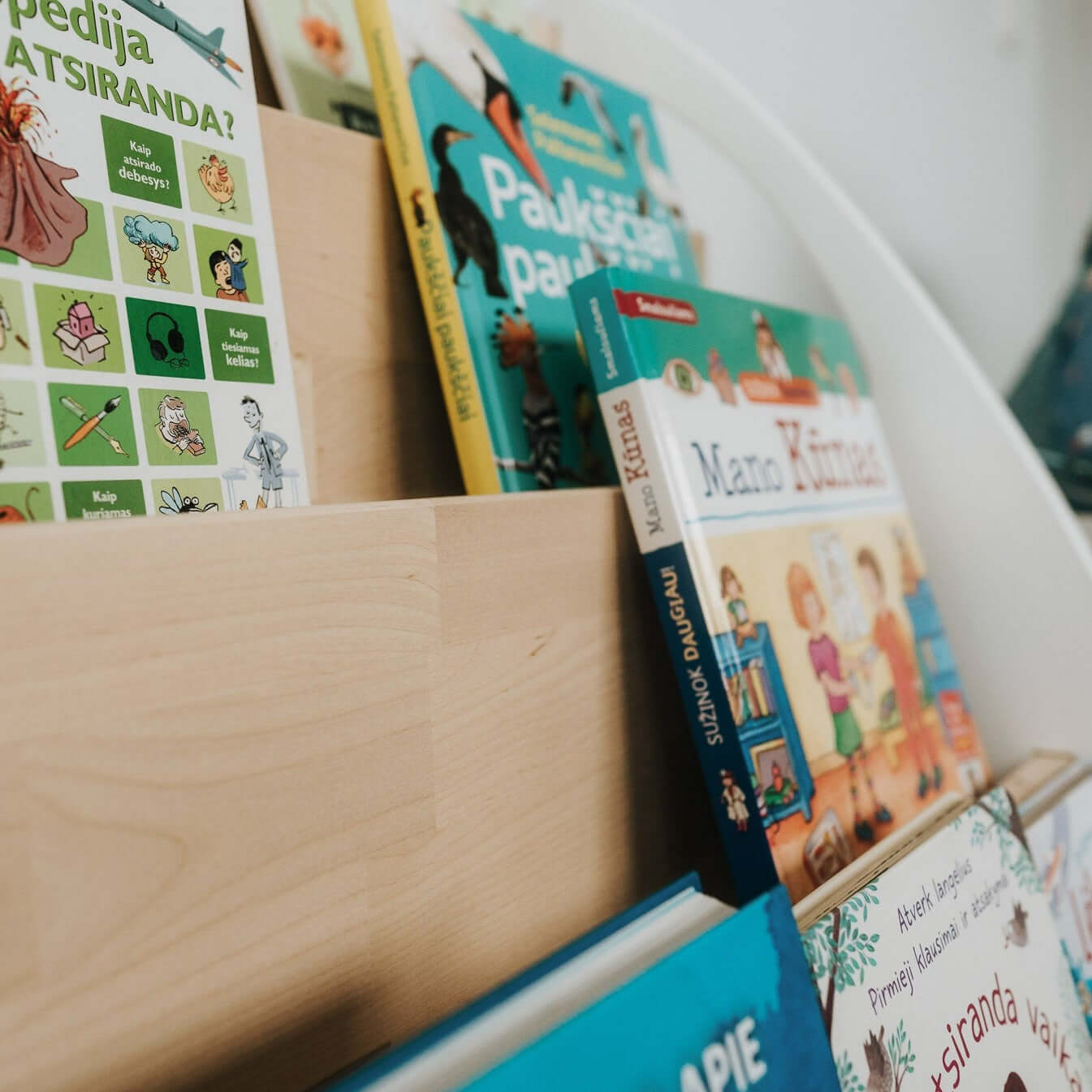 Montessori Bookshelf