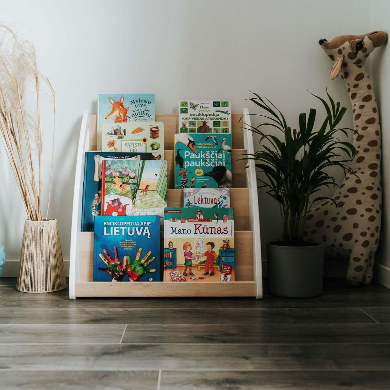 Montessori Bookshelf