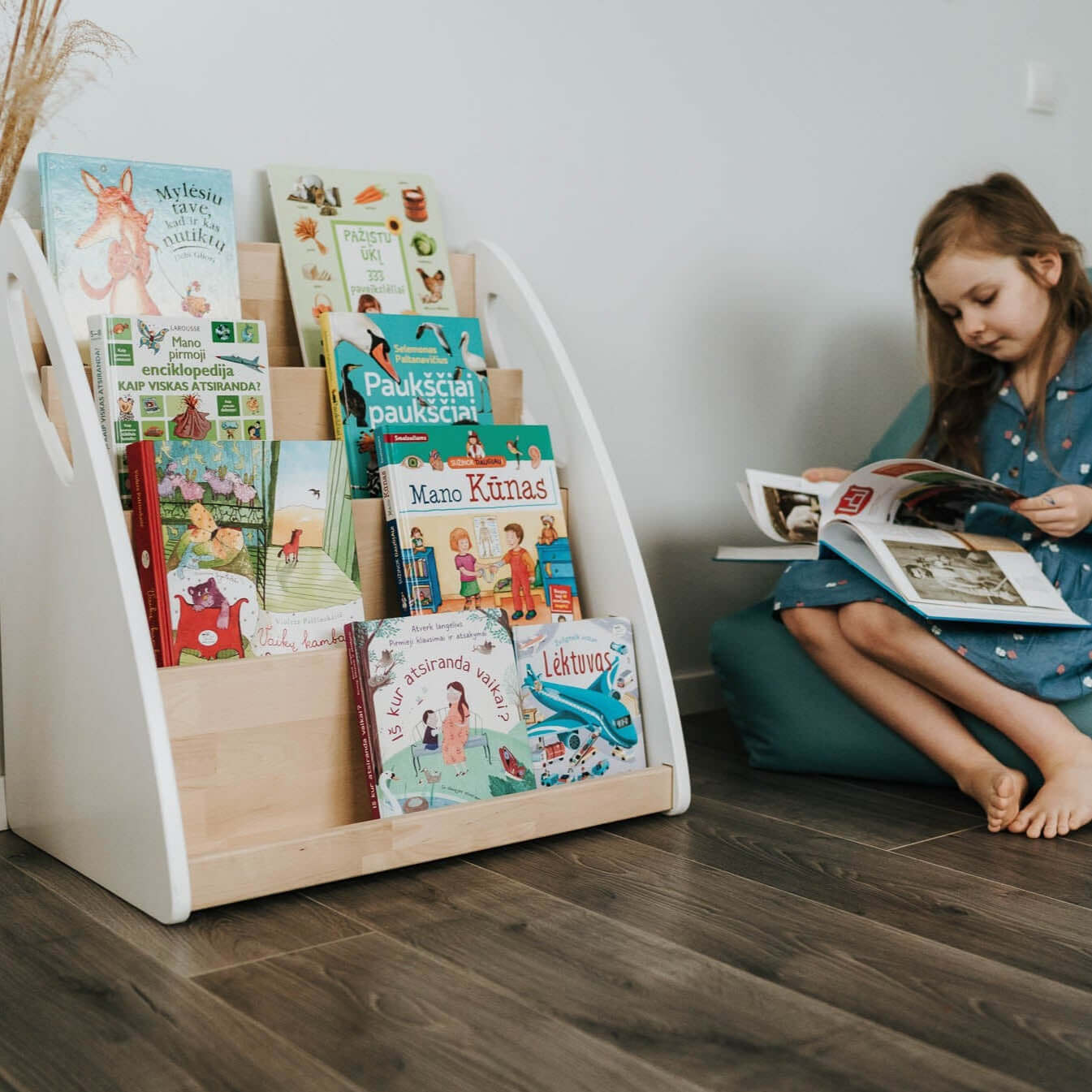 Montessori Bookshelf