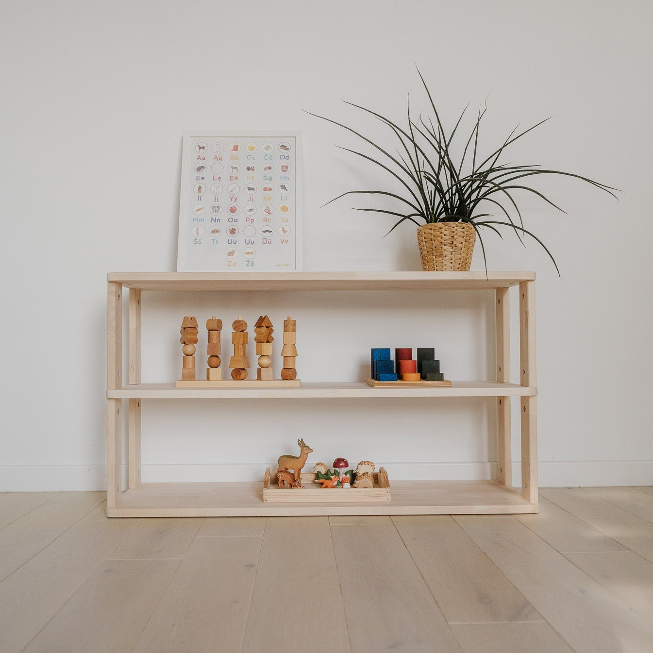 Montessori Shelves