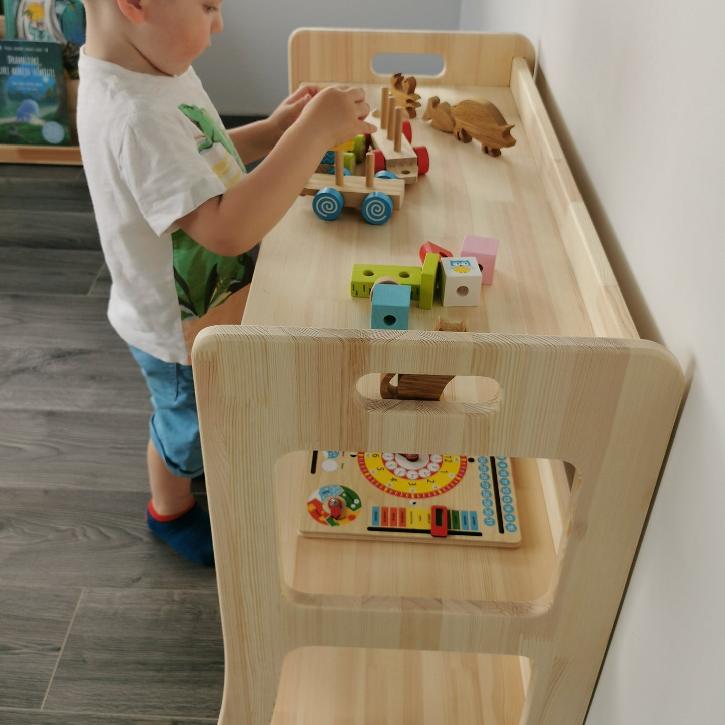 Montessori Toy Storage